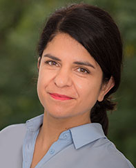 Bild von Katayoun Minaie